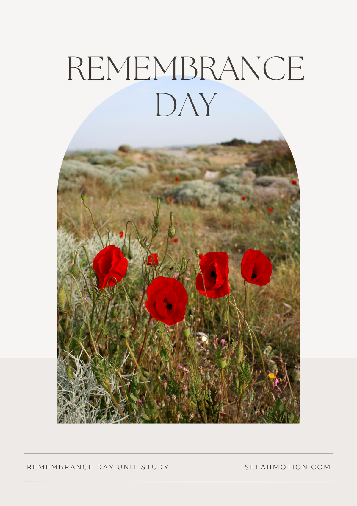 Unit Study: REMEMBRANCE DAY